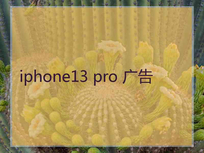 iphone13 pro 广告