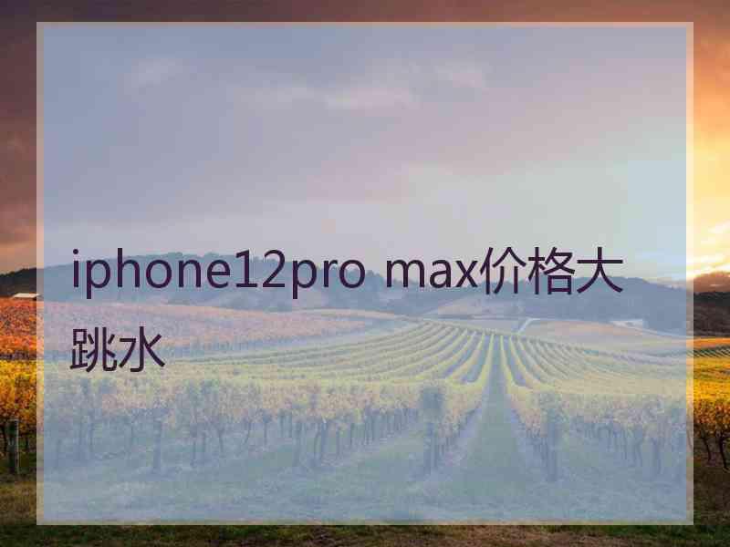 iphone12pro max价格大跳水