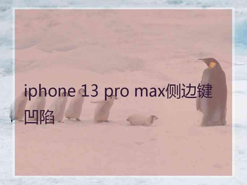 iphone 13 pro max侧边键凹陷