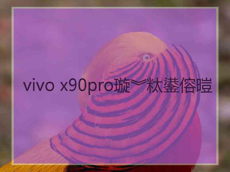 vivo x90pro璇︾粏鍙傛暟