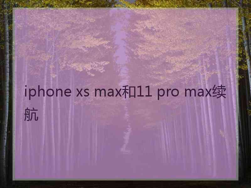 iphone xs max和11 pro max续航