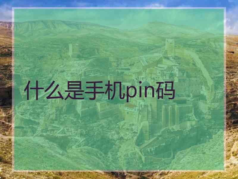 什么是手机pin码