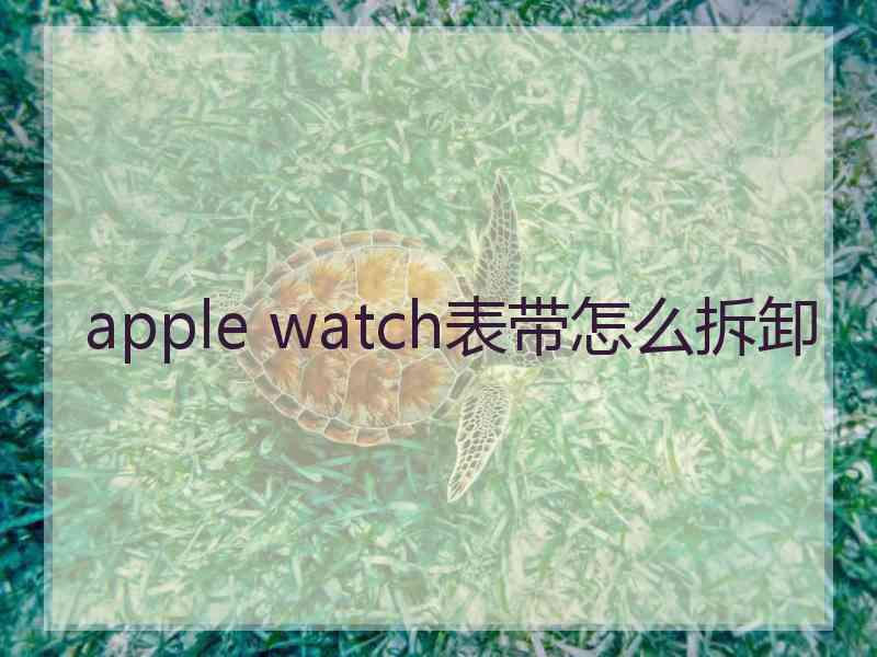 apple watch表带怎么拆卸