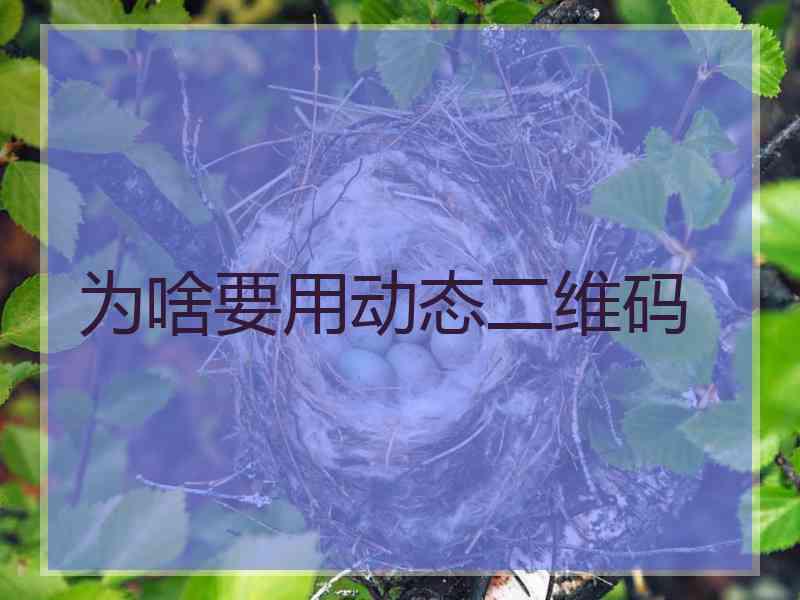 为啥要用动态二维码