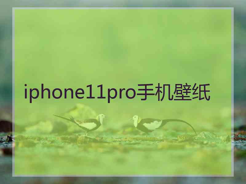 iphone11pro手机壁纸