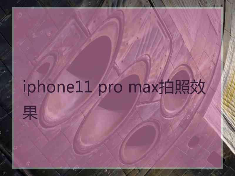 iphone11 pro max拍照效果