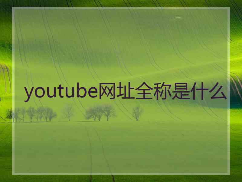 youtube网址全称是什么