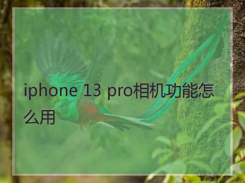 iphone 13 pro相机功能怎么用