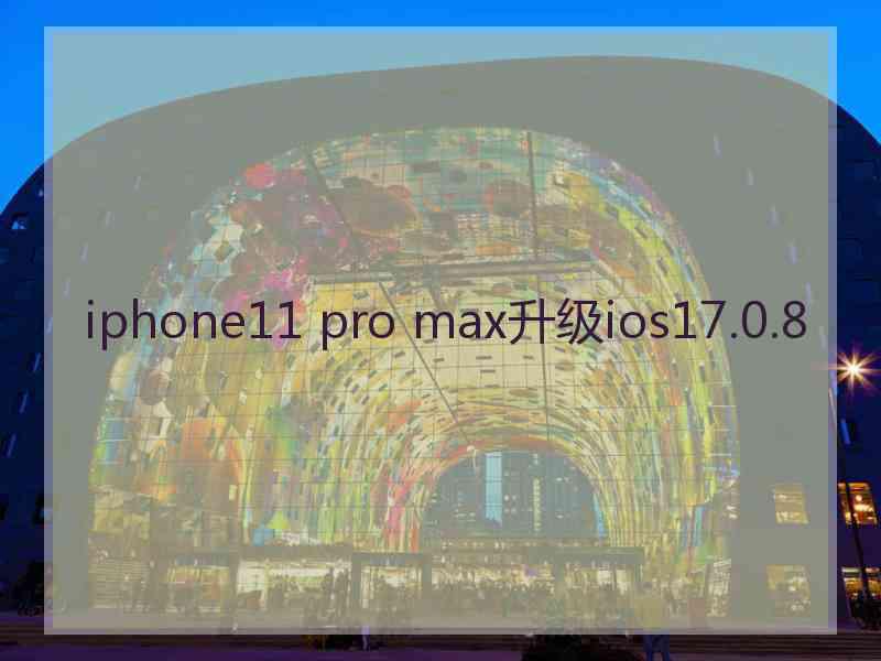 iphone11 pro max升级ios17.0.8