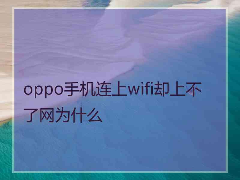 oppo手机连上wifi却上不了网为什么