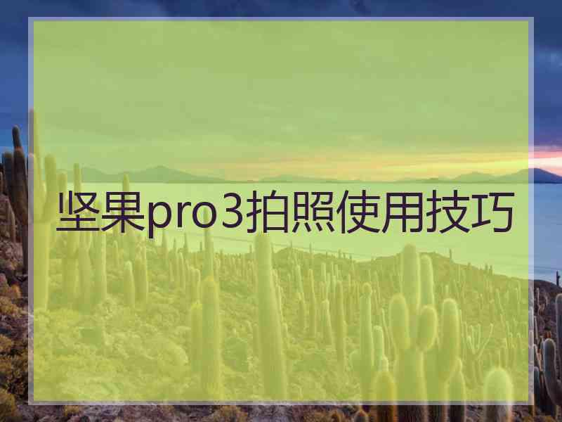 坚果pro3拍照使用技巧