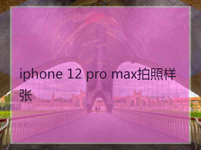 iphone 12 pro max拍照样张