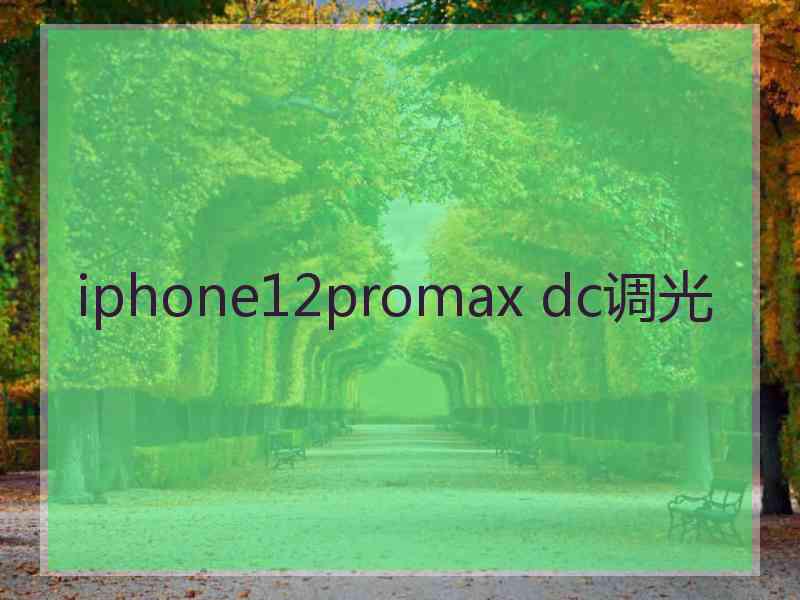 iphone12promax dc调光