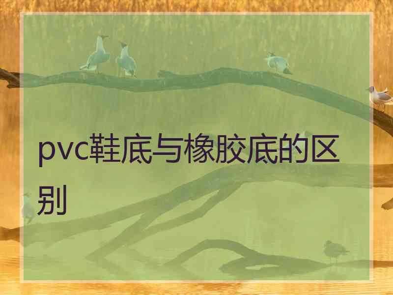 pvc鞋底与橡胶底的区别