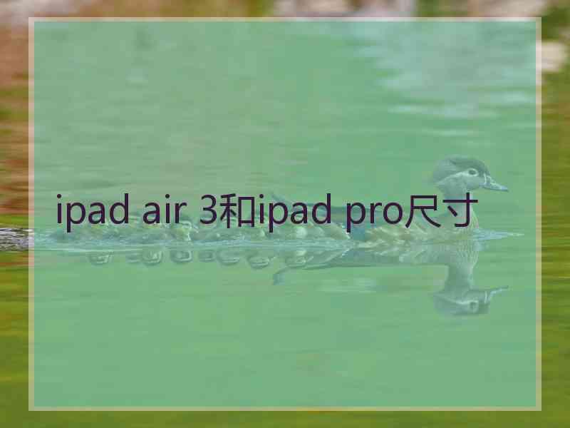 ipad air 3和ipad pro尺寸