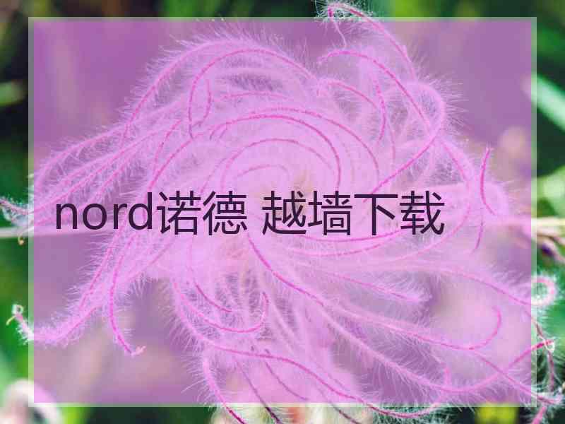 nord诺德 越墙下载