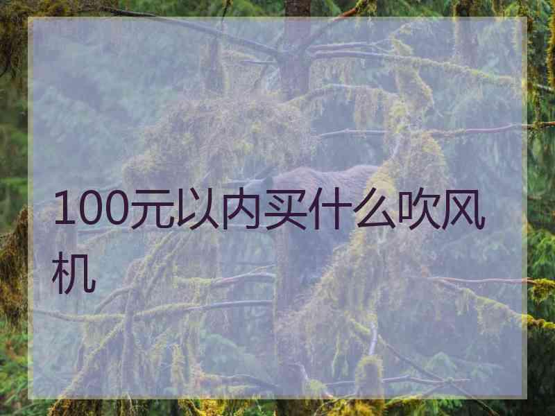 100元以内买什么吹风机