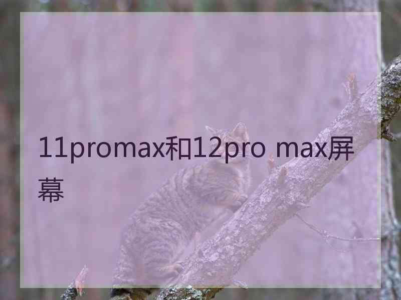 11promax和12pro max屏幕