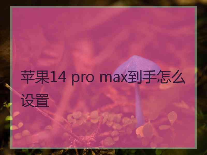 苹果14 pro max到手怎么设置