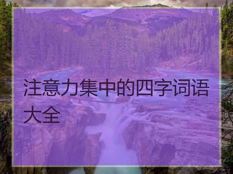 注意力集中的四字词语大全