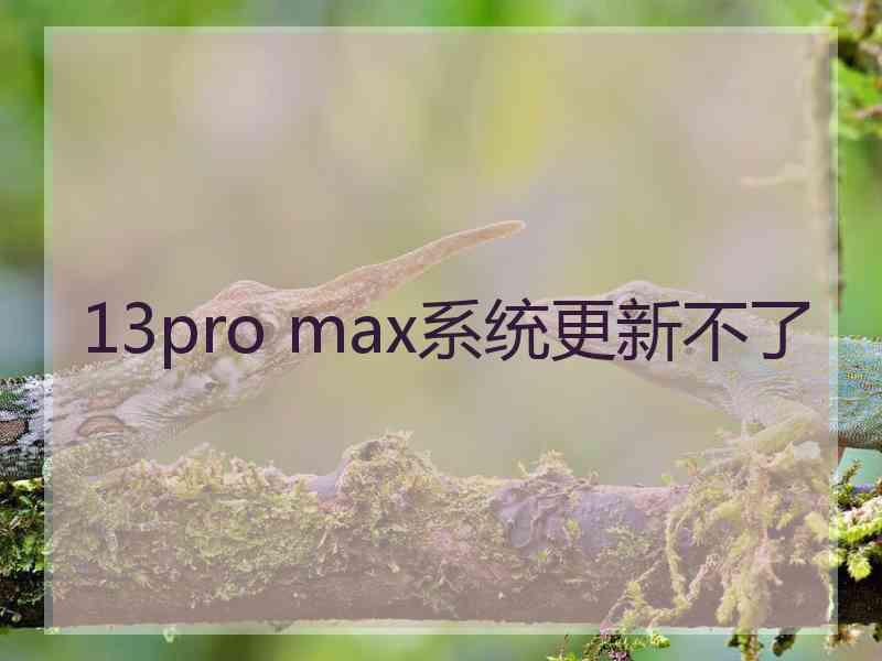 13pro max系统更新不了