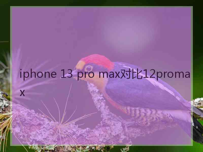 iphone 13 pro max对比12promax