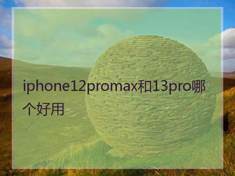 iphone12promax和13pro哪个好用