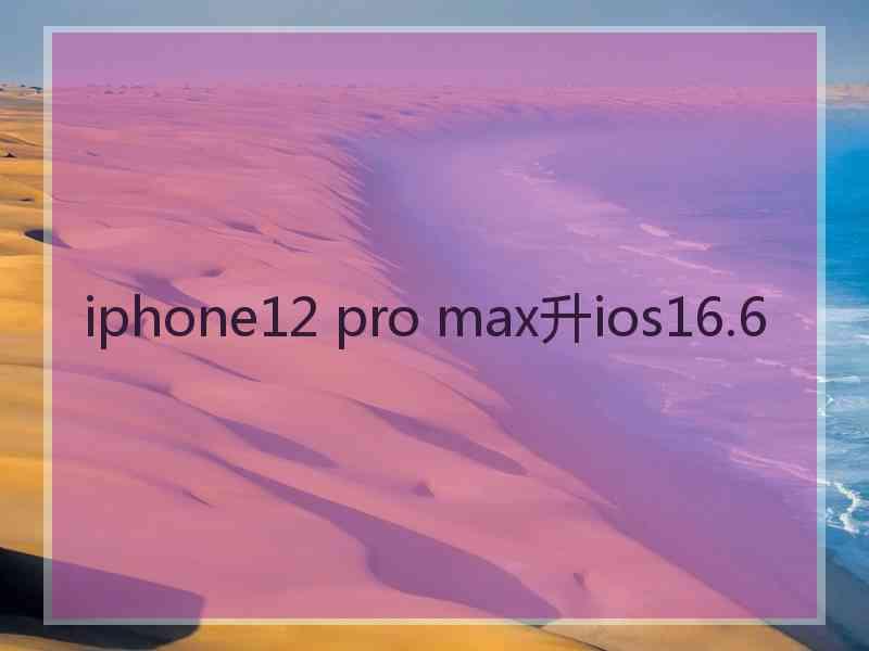 iphone12 pro max升ios16.6