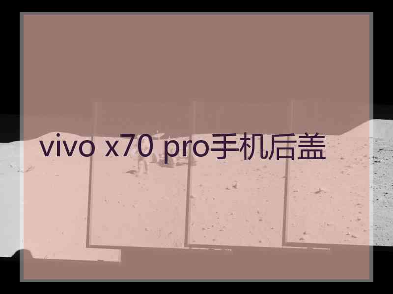 vivo x70 pro手机后盖