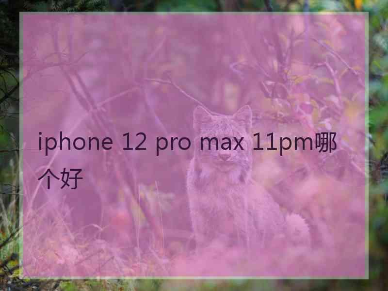 iphone 12 pro max 11pm哪个好