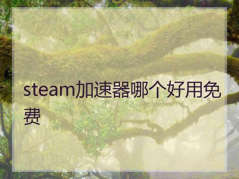 steam加速器哪个好用免费