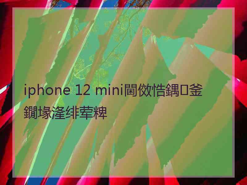 iphone 12 mini閫傚悎鍝釜鐗堟湰绯荤粺