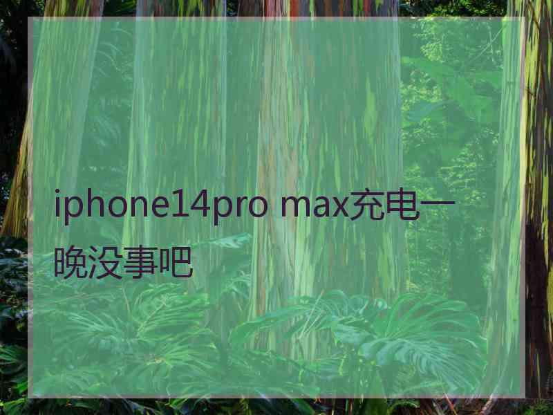 iphone14pro max充电一晚没事吧