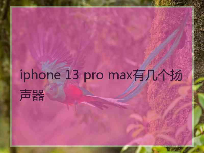 iphone 13 pro max有几个扬声器