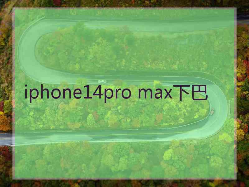 iphone14pro max下巴