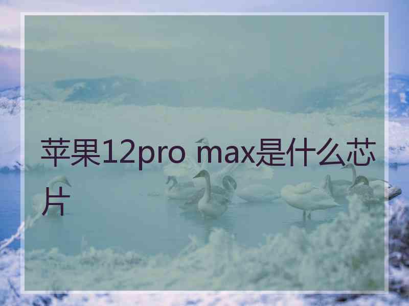 苹果12pro max是什么芯片