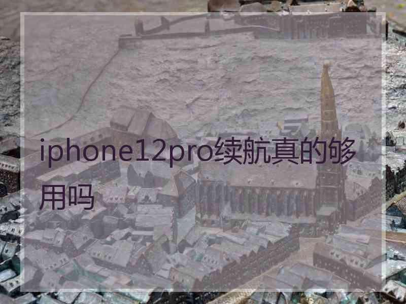 iphone12pro续航真的够用吗