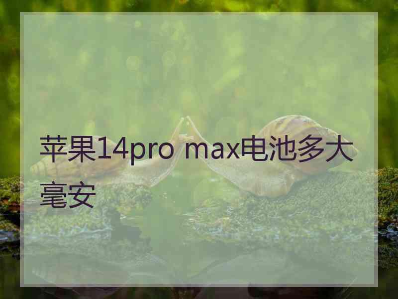 苹果14pro max电池多大毫安