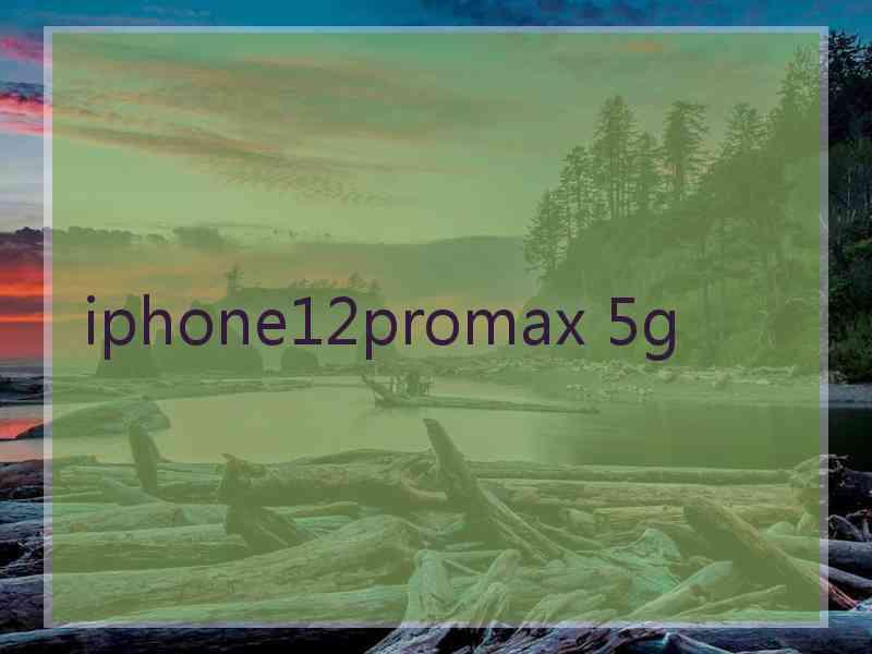 iphone12promax 5g