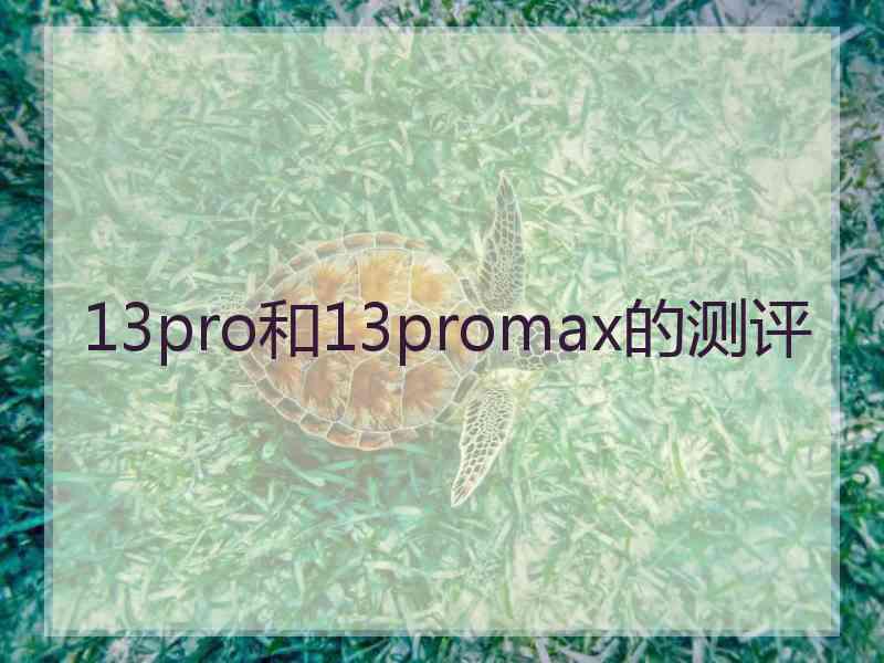 13pro和13promax的测评