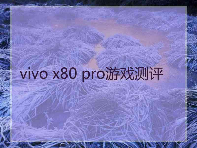 vivo x80 pro游戏测评