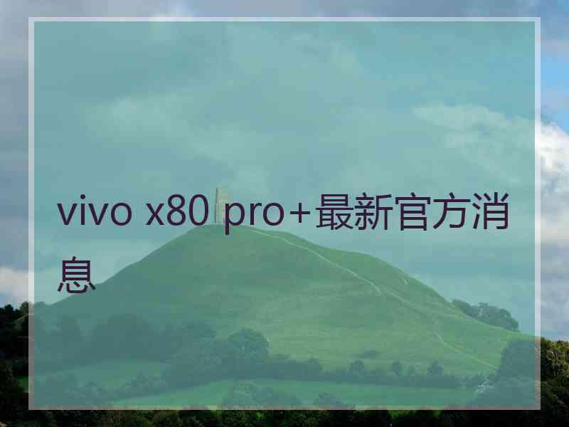 vivo x80 pro+最新官方消息