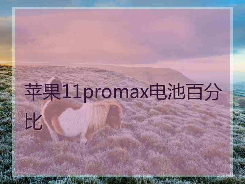 苹果11promax电池百分比