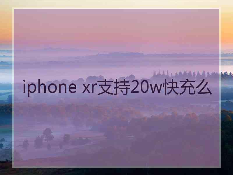 iphone xr支持20w快充么