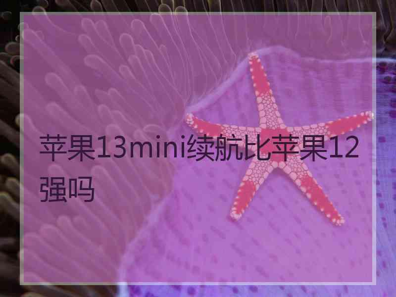 苹果13mini续航比苹果12强吗