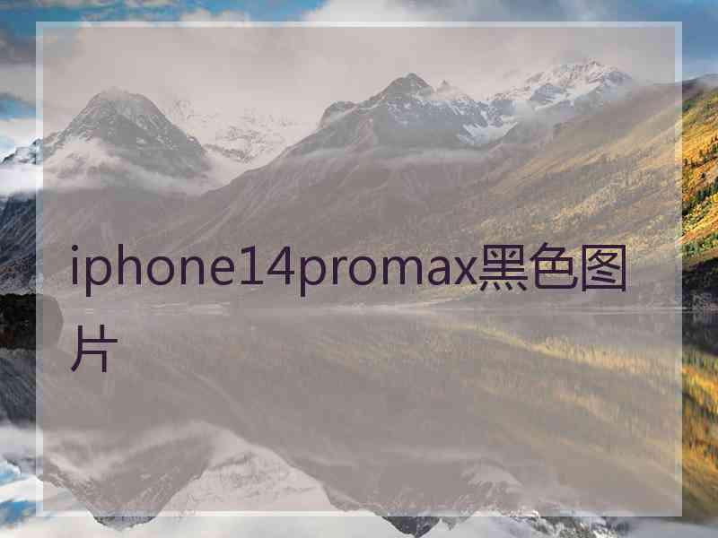 iphone14promax黑色图片