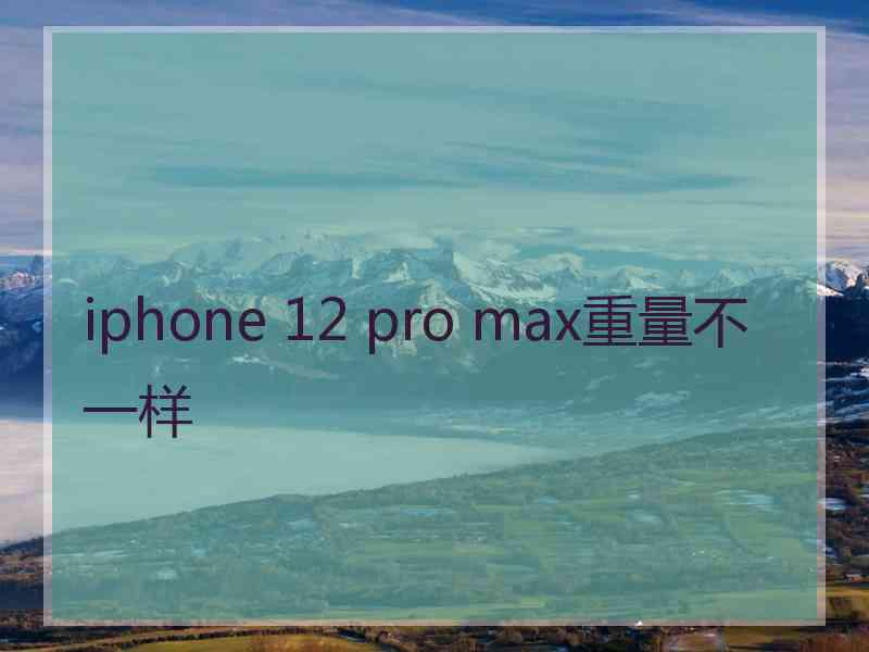 iphone 12 pro max重量不一样