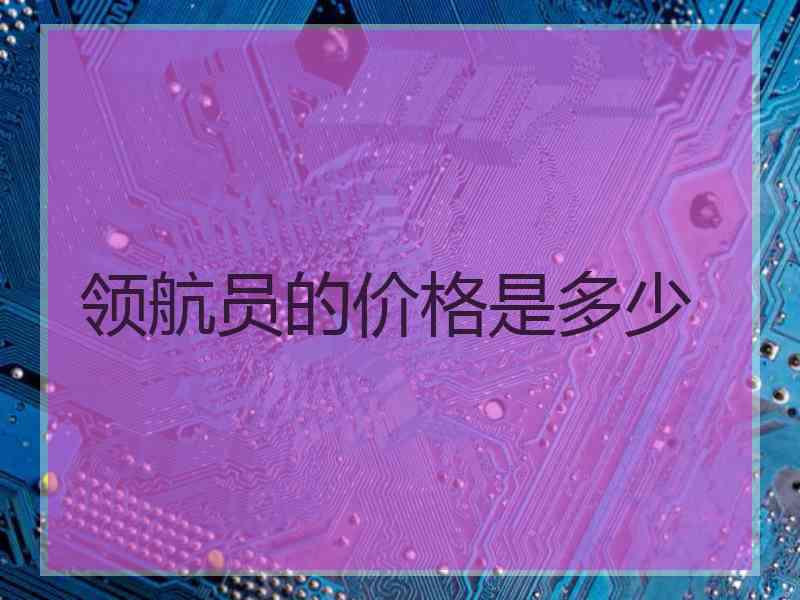 领航员的价格是多少