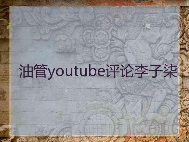 油管youtube评论李子柒