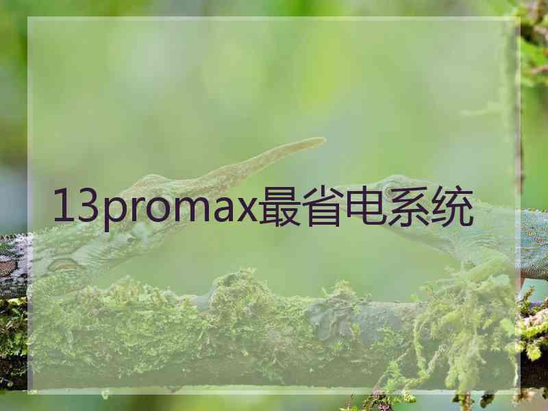 13promax最省电系统